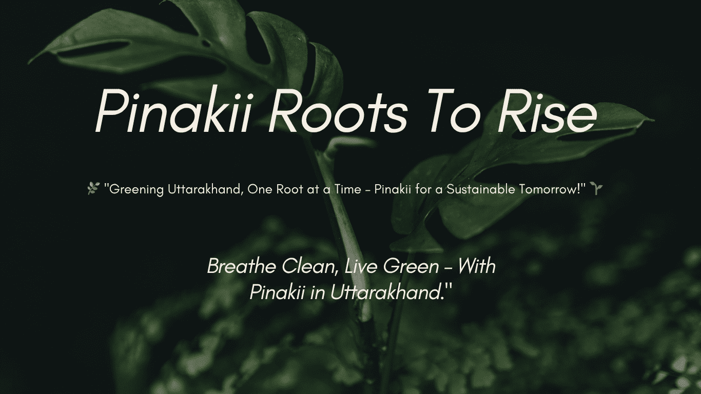 Best Environment NGO in Uttarakhand| Best NGO for environment in Uttarakhand| Best NGO for Tree Plantation in Uttarakhand